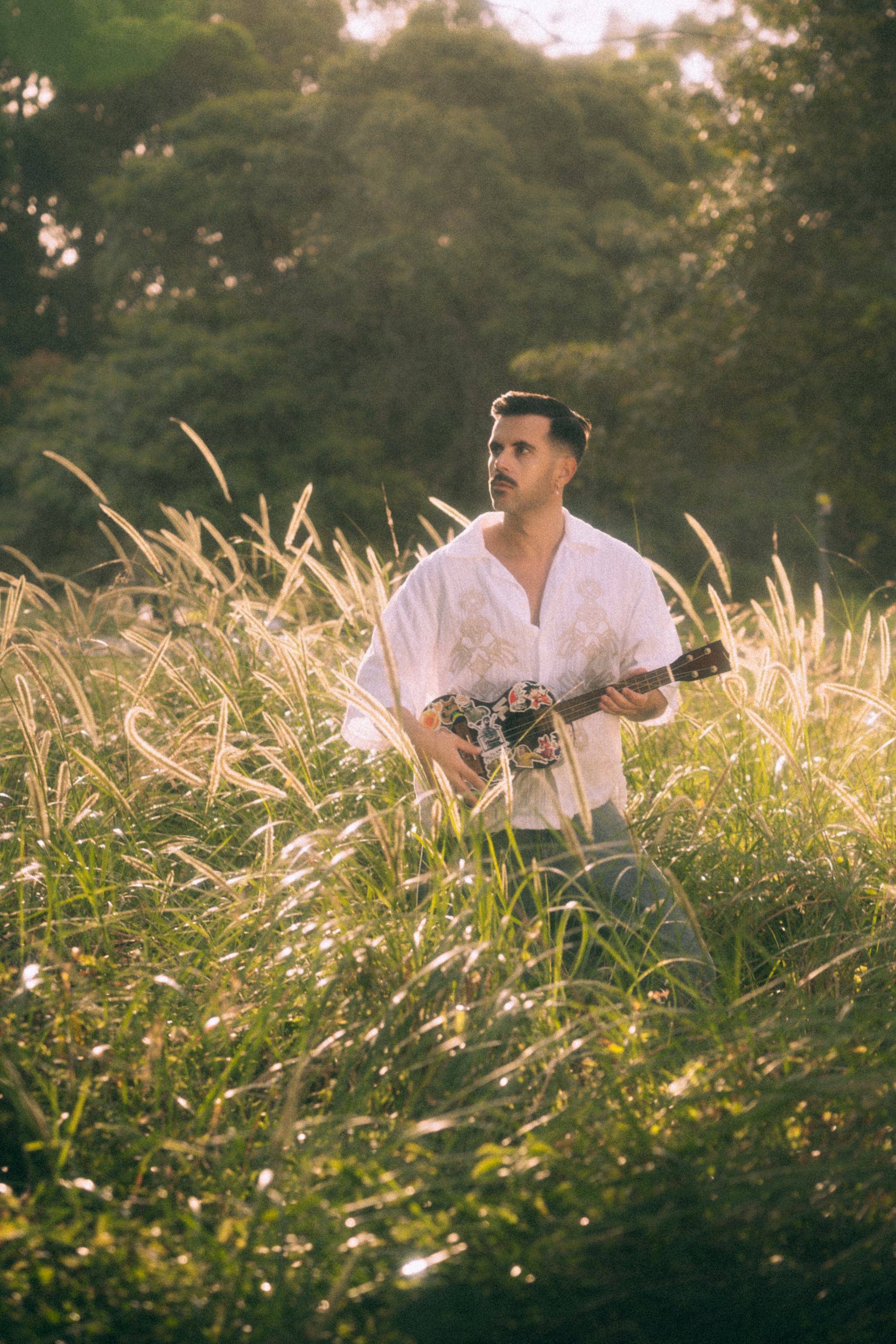 Field guitar vertical